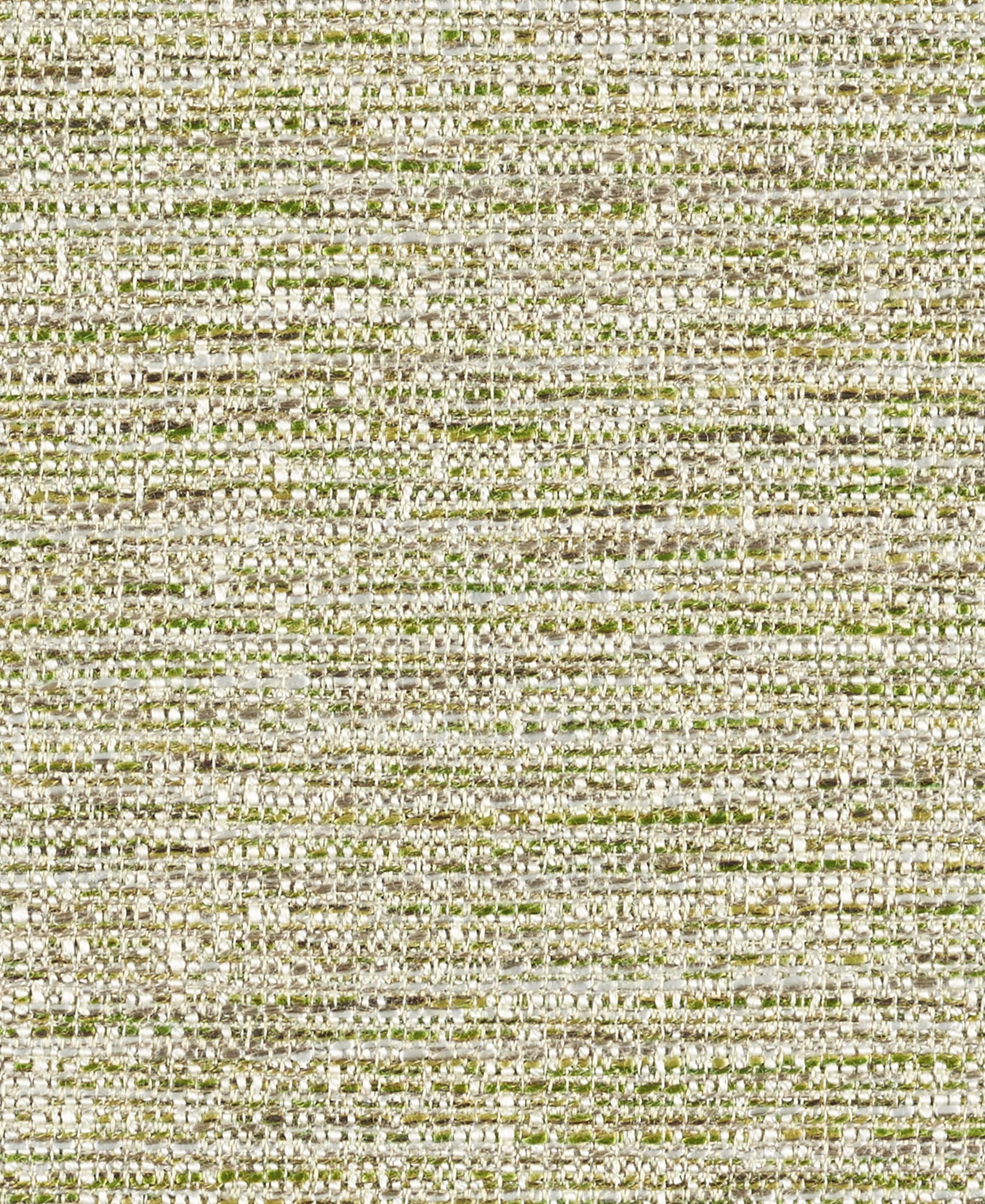 Grass